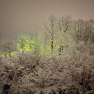 Das Licht in der Nacht